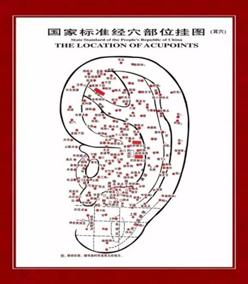 圖片5.jpg