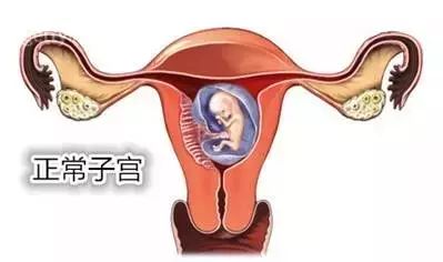 圖片7.jpg
