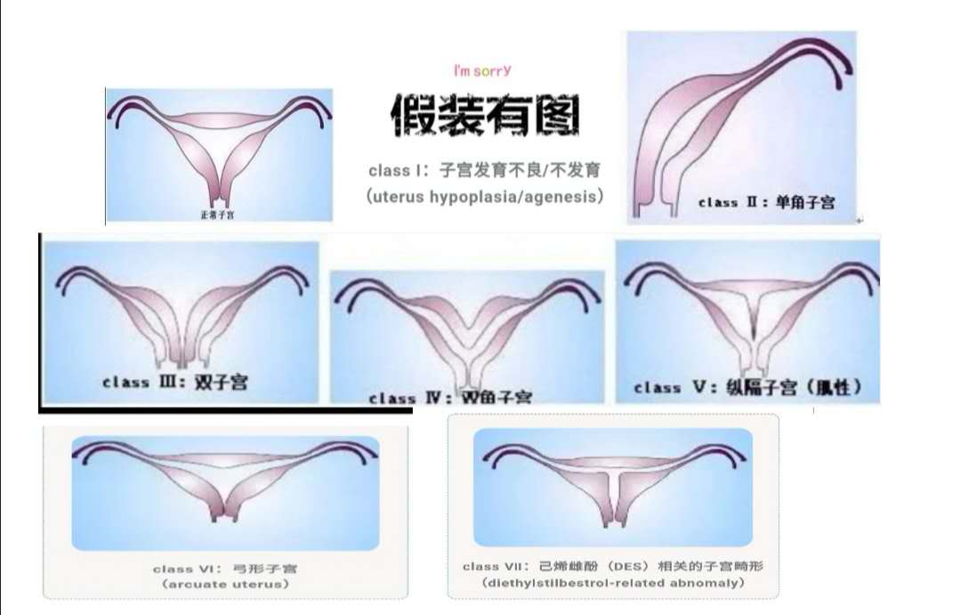 圖片8.jpg