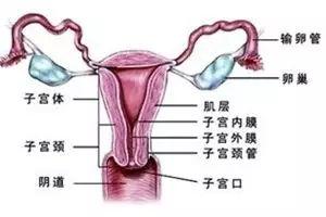 圖片2.jpg