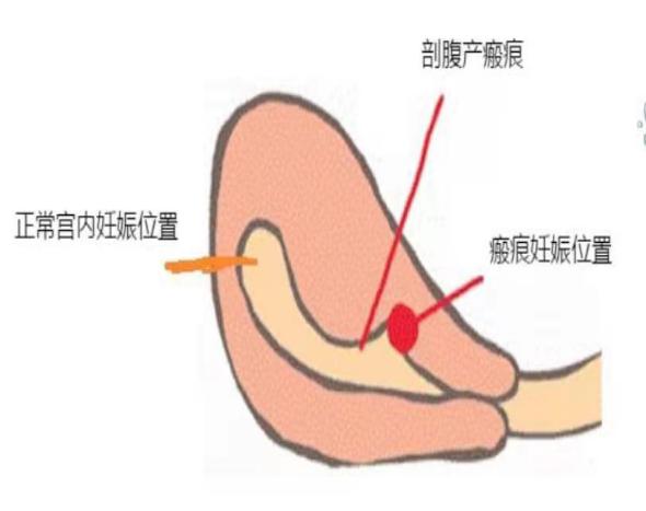 圖片2.jpg